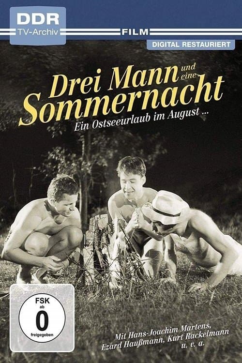 Drei Mann und eine Sommernacht poster