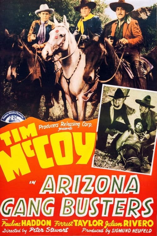 Arizona Gang Busters poster