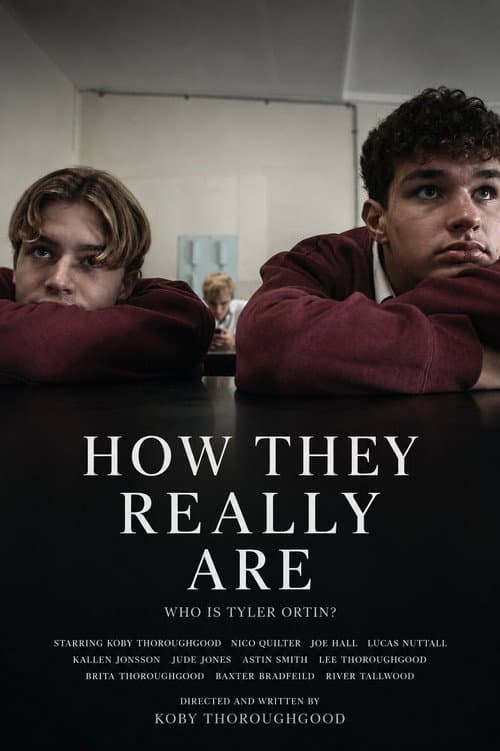 How They Really Are poster