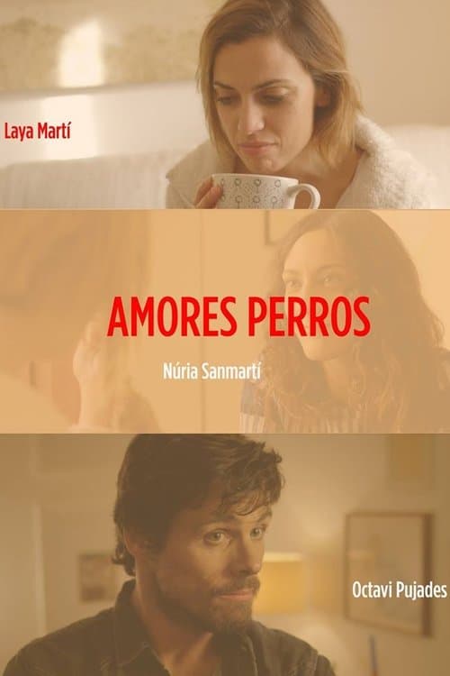 Amores perros poster