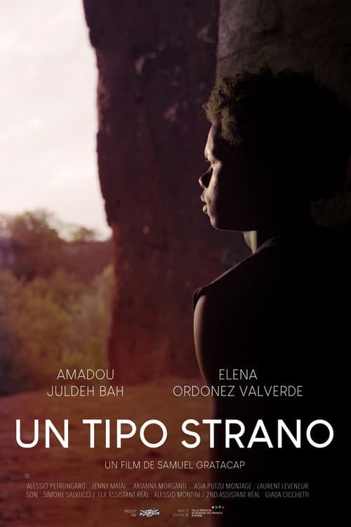 Un tipo strano poster