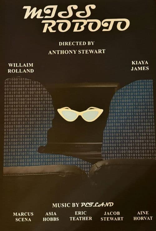 MISS ROBOTO poster