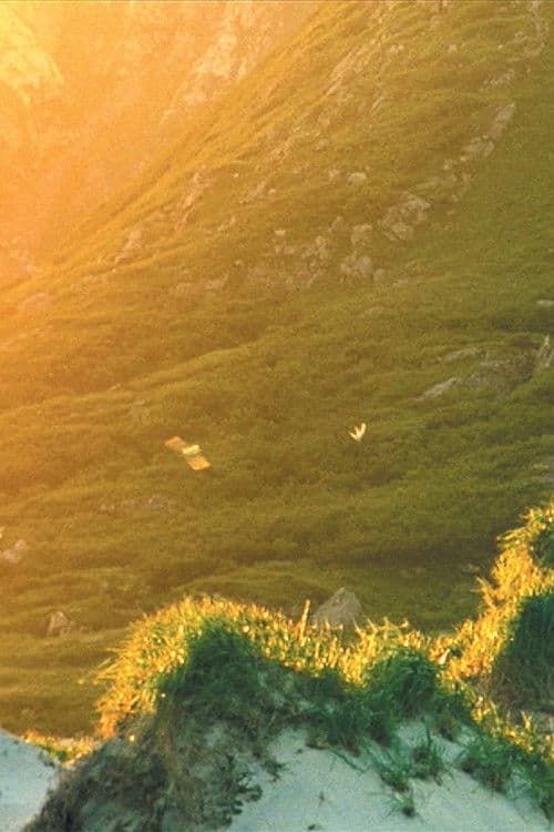 El Sueño de una cosa poster