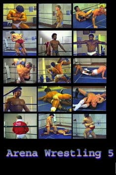 Arena Wrestling 5 poster