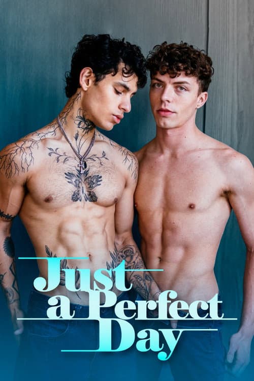Just a Perfect Day poster