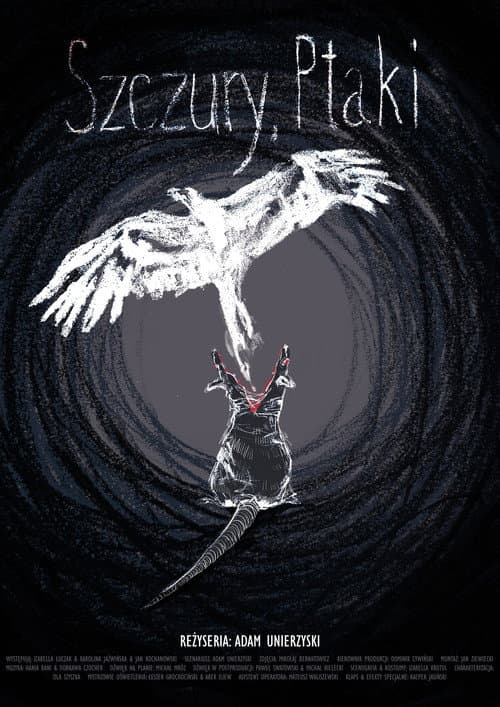 Szczury, ptaki poster