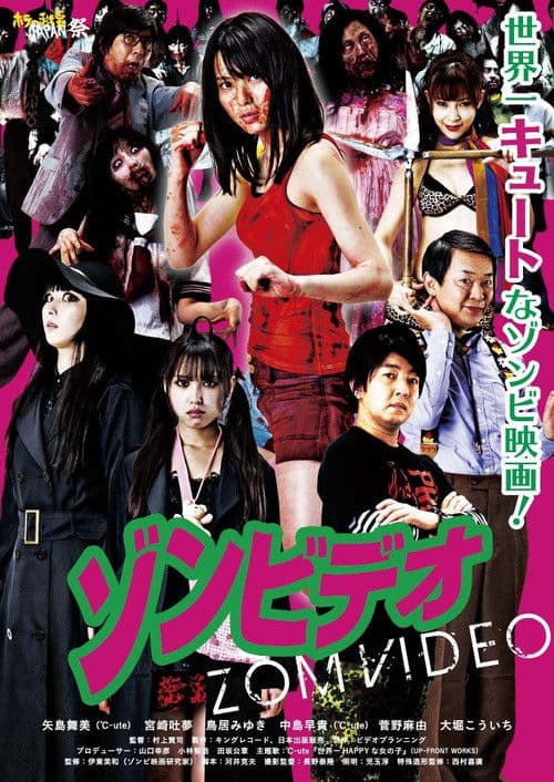 Zomvideo poster