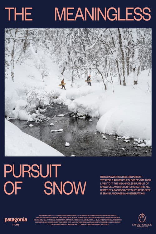 The Meaningless Pursuit of Snow poster