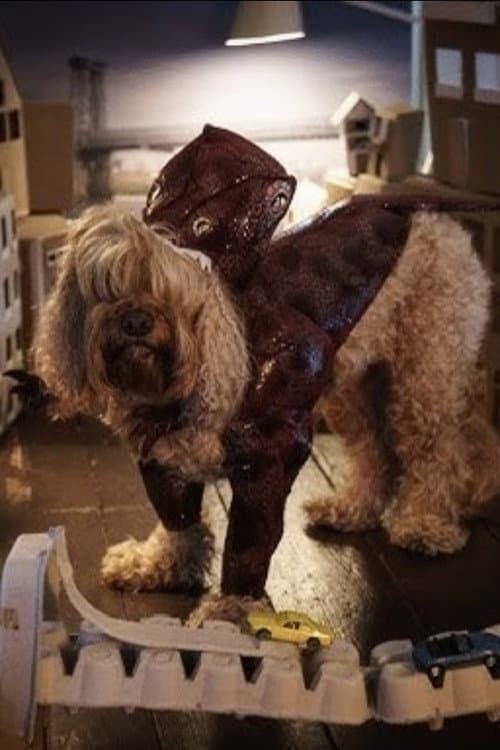 John the Dog profile photo
