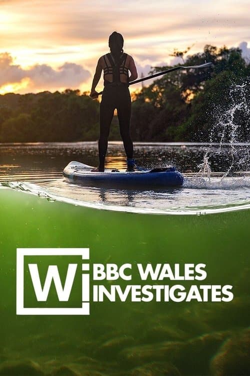 Michael Sheen: Lifting the Lid on the Care System poster