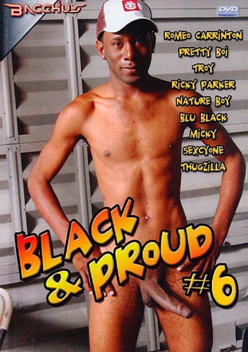 Black and Proud 6 poster