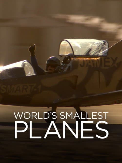 World's Smallest Planes poster