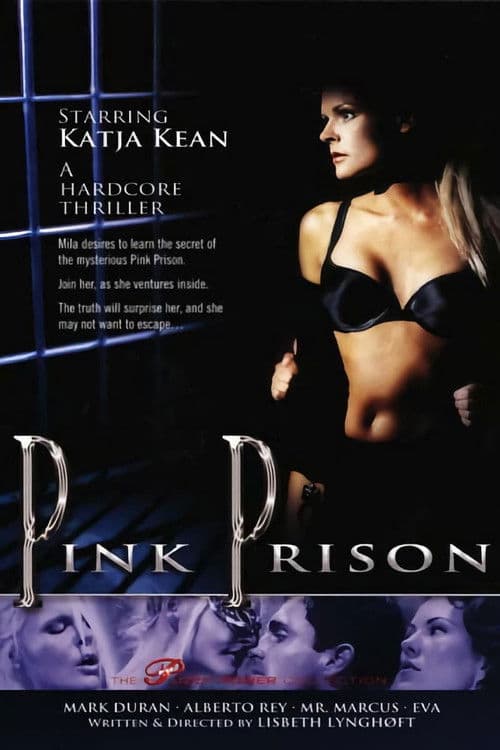 Pink Prison poster