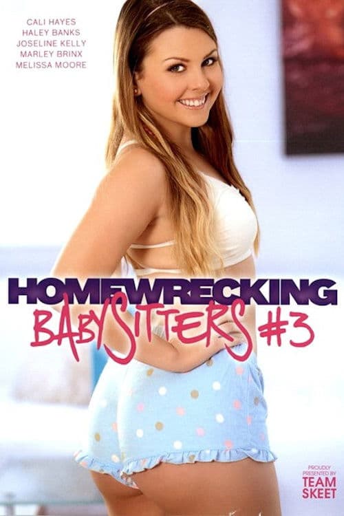 Homewrecking Babysitters 3 poster