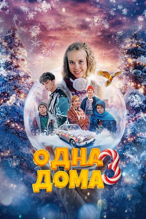 Одна дома 3 poster