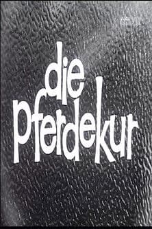 Die Pferdekur poster