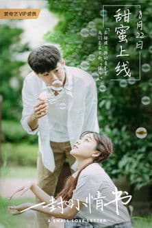 A Small Love Letter poster