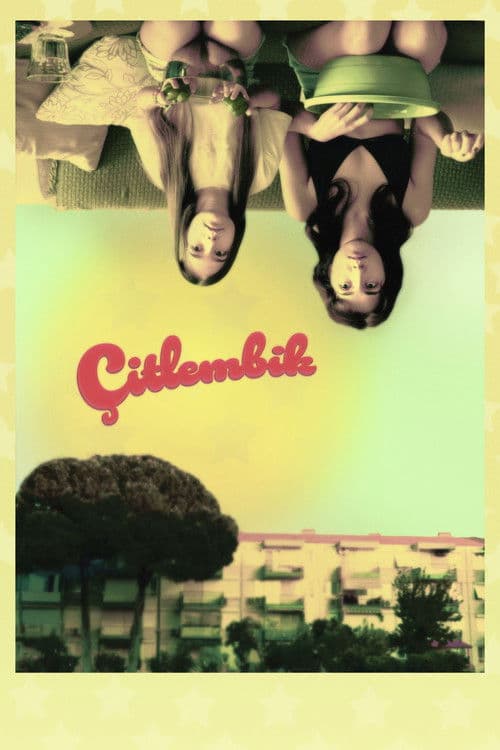 Çitlembik poster