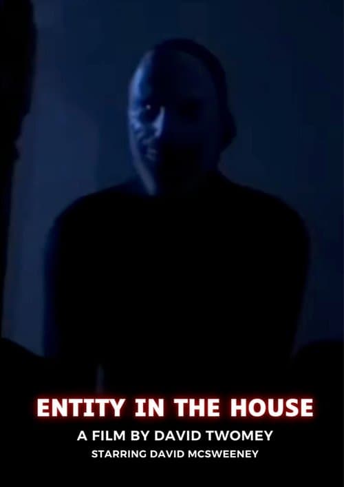 ENTITY IN THE HOUSE poster