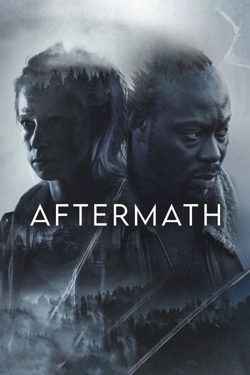 Aftermath poster