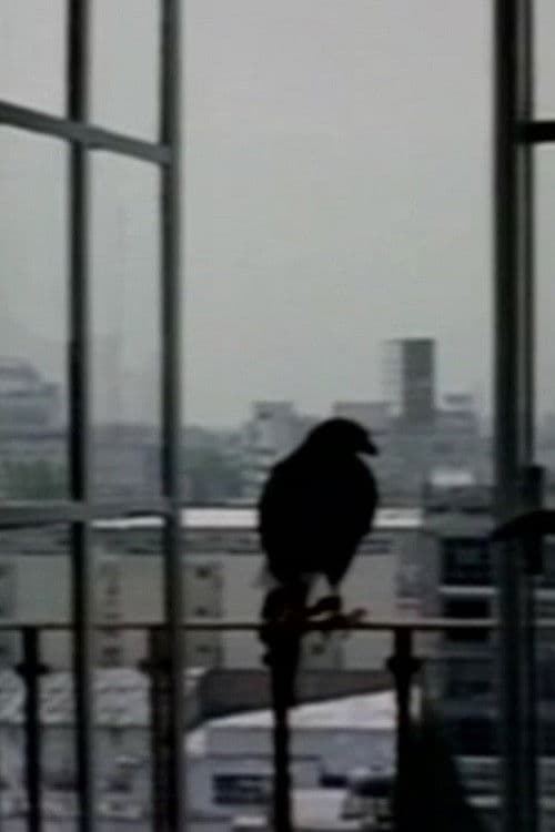 El otro cuarto poster