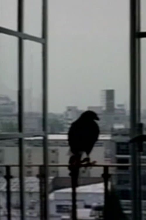 El otro cuarto poster