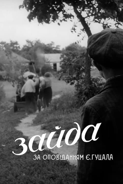 Зайда poster