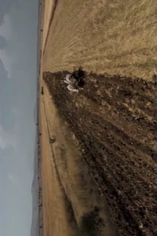 Years of Solitude poster