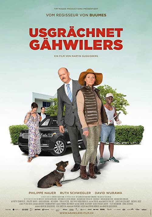 Meet The Gähwilers poster