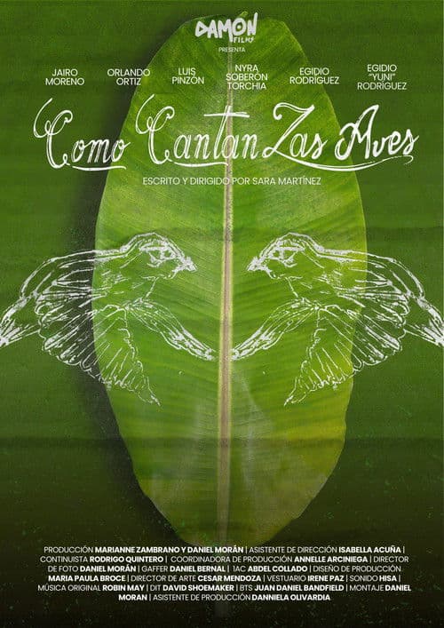 Como Cantan Las Aves poster