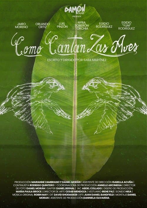 Como Cantan Las Aves poster
