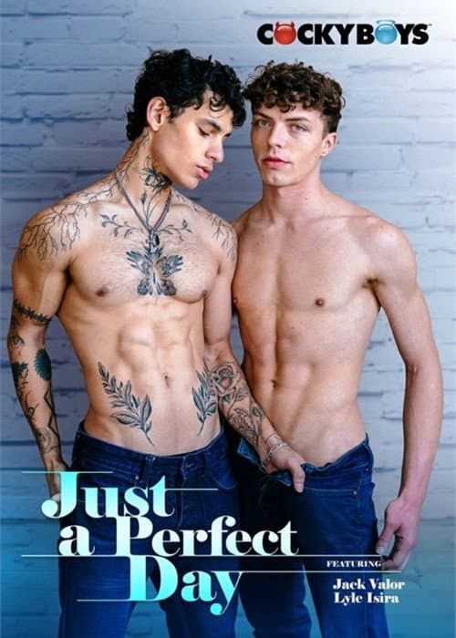 Just a Perfect Day poster