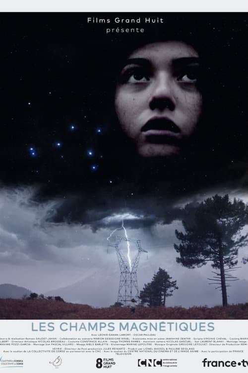 Magnetic Fields poster