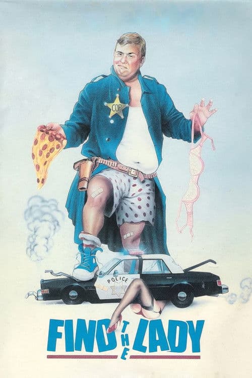 Find the Lady poster