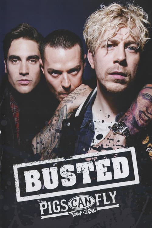 Busted: Pigs Can Fly Tour 2016 poster