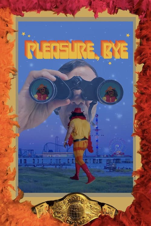 Pleasure, Bye poster