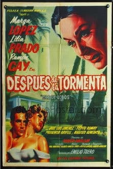 Después de la tormenta poster