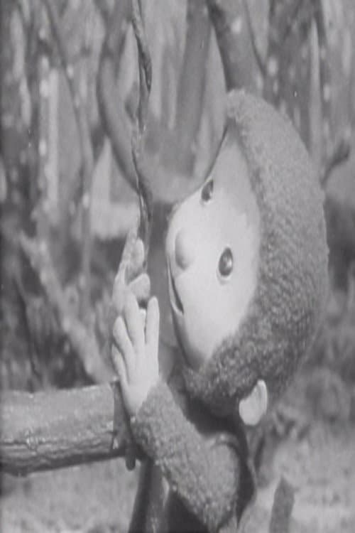 Little Monkey on a Swing poster