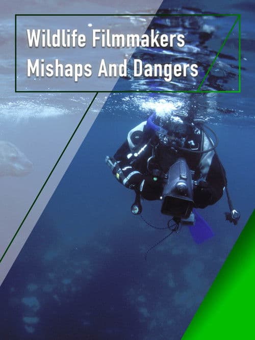 Wildlife Filmmakers: Mishaps and Dangers poster