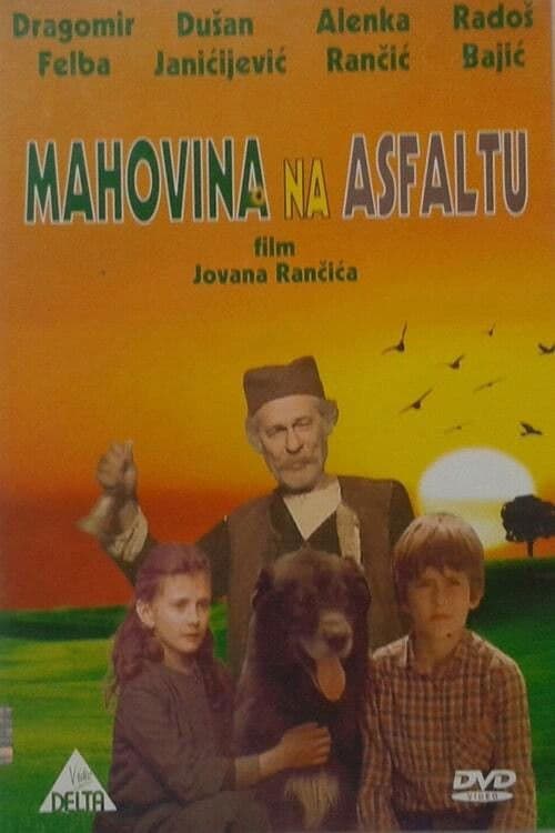 Moss-Covered Asphalt poster