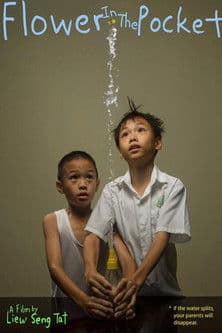 Flower in the Pocket poster