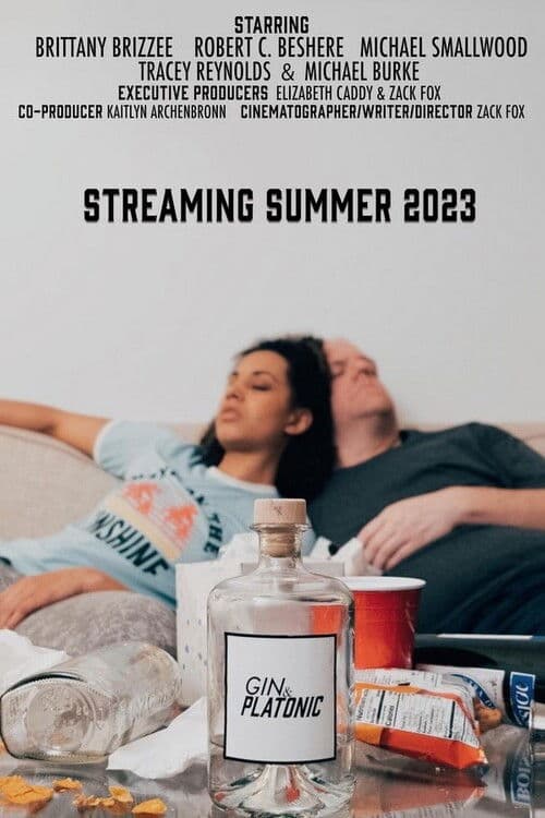 Gin & Platonic poster
