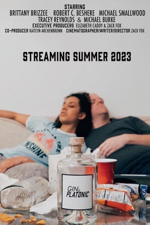 Gin & Platonic poster