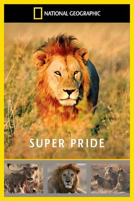 Superpride poster