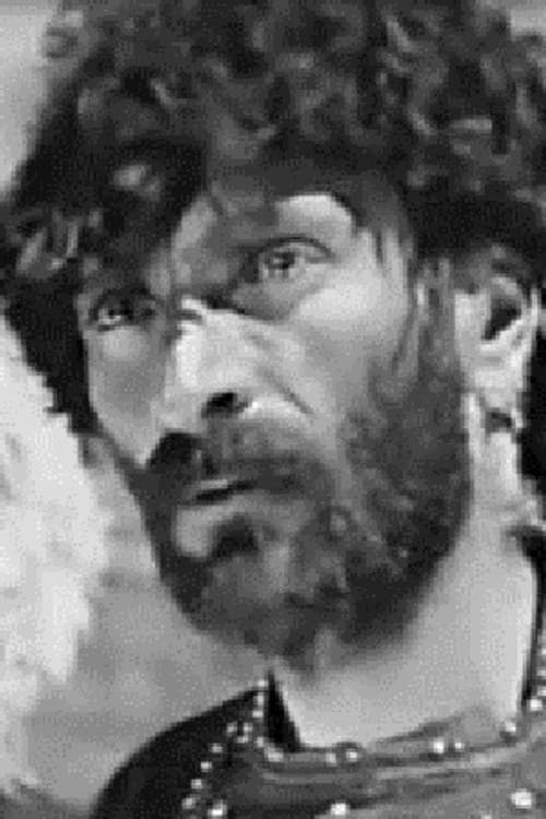 Nikoloz Anjaparidze profile photo