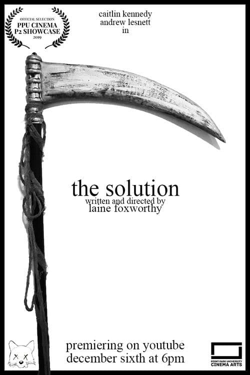 The Solution poster