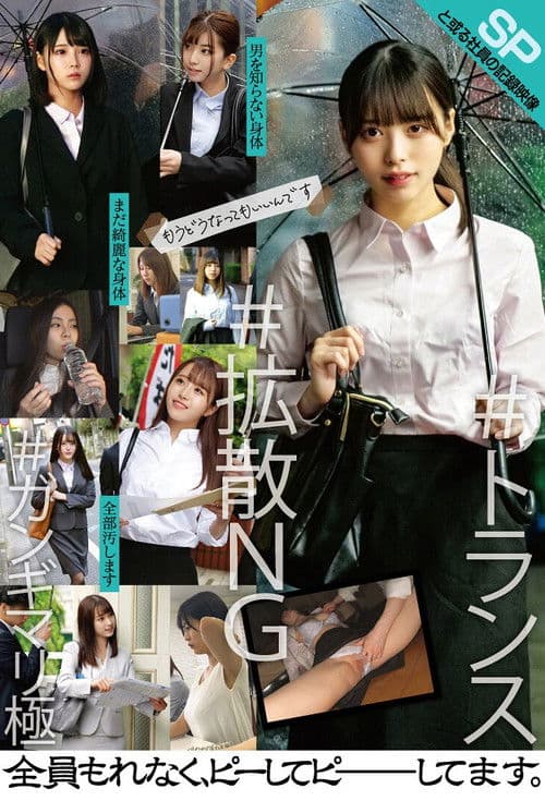 と或る社員の記録映像SP poster