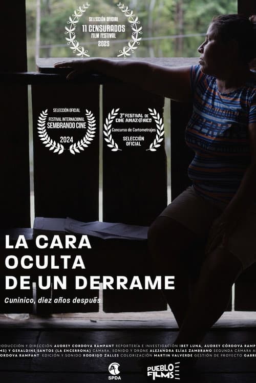 La cara oculta de un derrame poster