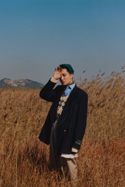 The Performers Act V - Kai poster