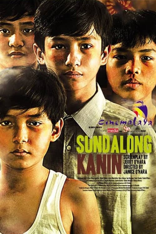 Rice Soldiers poster